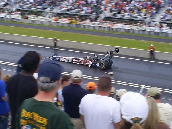 Ponies on The Run!-s5031735.jpg