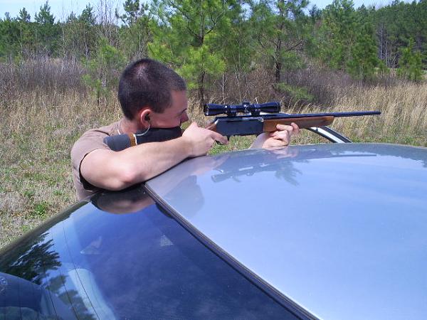 Ponies on The Run!-s5031659.jpg