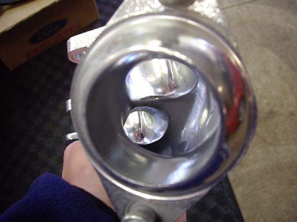 Ponies on The Run!-imgp1346.jpg