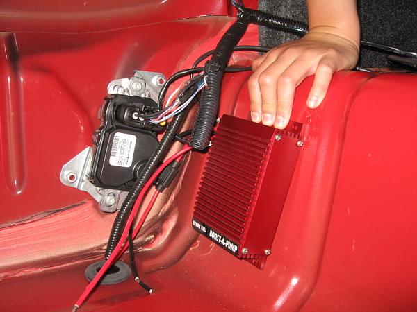 Ponies on The Run!-img_0108.jpg