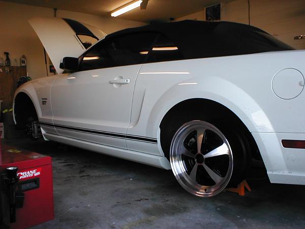 Ponies on The Run!-p1010308.jpg