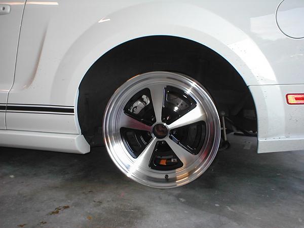 Ponies on The Run!-p1010309.jpg