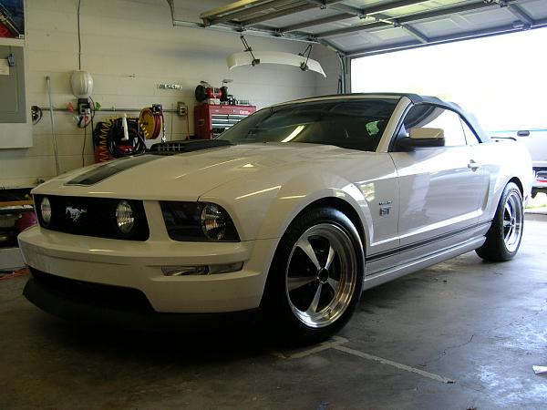 Ponies on The Run!-dscn7671.jpg