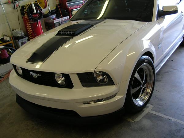 Ponies on The Run!-dscn7673.jpg