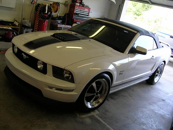 Ponies on The Run!-dscn7674.jpg