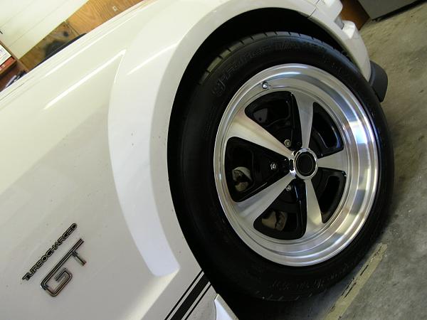 Ponies on The Run!-dscn7678.jpg