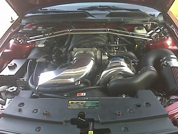 Ponies on The Run!-img00175.jpg