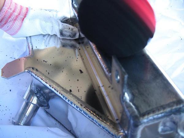 Ponies on The Run!-img_9323.jpg