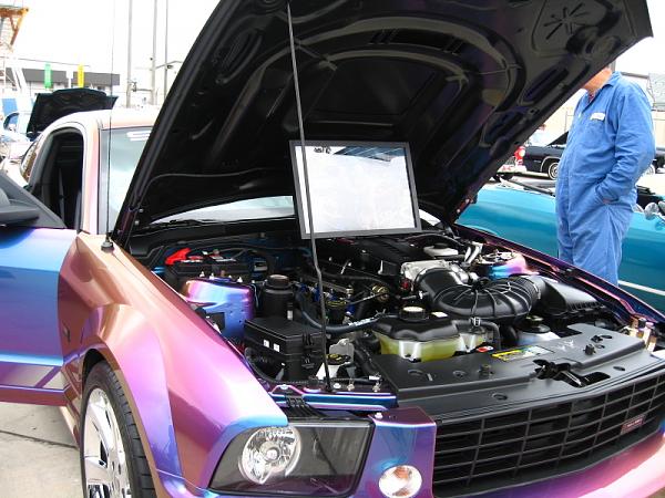 Ponies on The Run!-img_0304.jpg