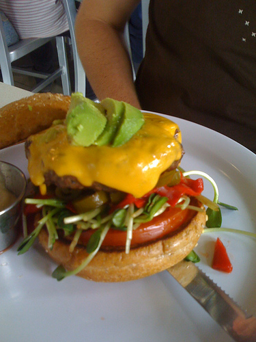 Name:  2331946562_138afb9b35.jpg
Views: 91
Size:  107.4 KB