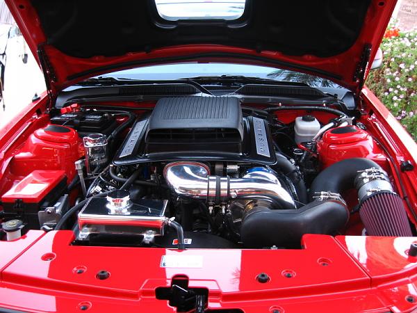 Ponies on The Run!-img_9908.jpg