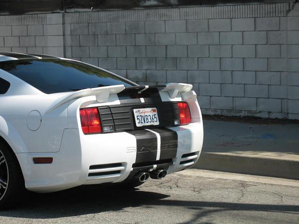 Ponies on The Run!-img_0515.jpg