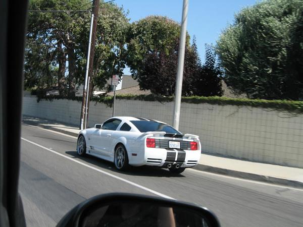 Ponies on The Run!-img_0518.jpg