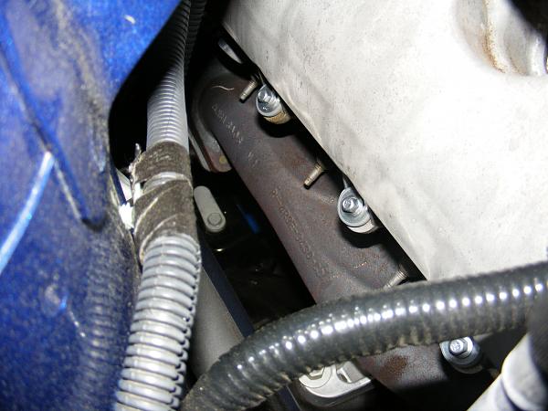 Ponies on The Run!-header2.jpg