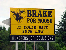 Name:  moose100s.jpg
Views: 118
Size:  42.0 KB