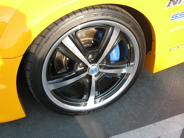 Ponies on The Run!-img_1186.jpg