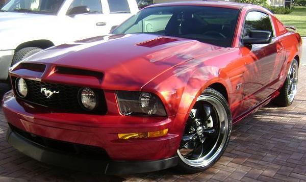 Ponies on The Run!-mustangpicturesdec202007010.jpg