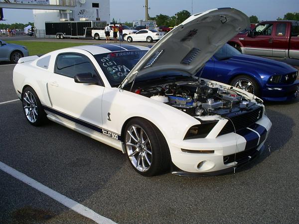 Ponies on The Run!-s5031966.jpg