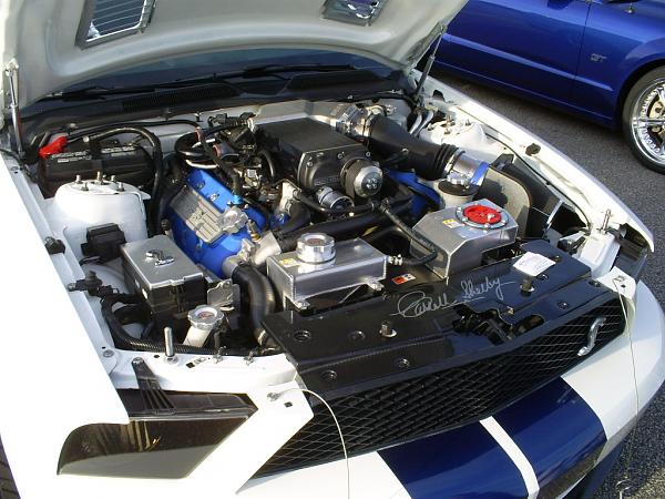 Ponies on The Run!-s5031968.jpg