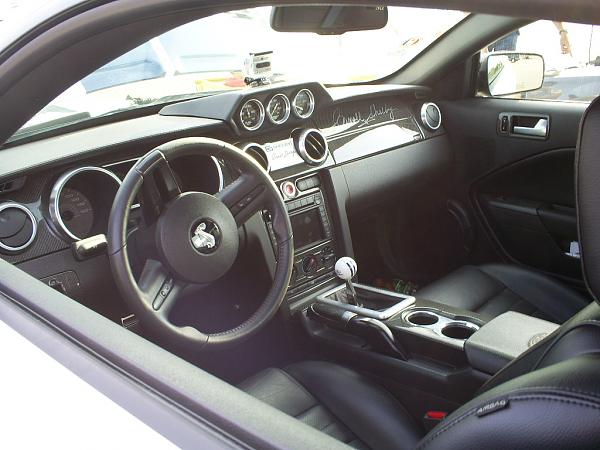 Ponies on The Run!-s5031970.jpg