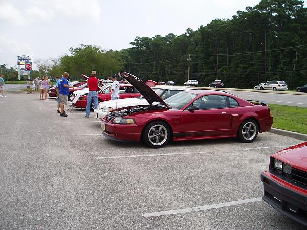 MUSTANG WEEK MYRTLE BEACH 2008-mustangweek.jpg