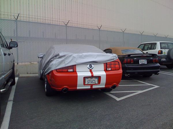 Ponies on The Run!-img_0347.jpg