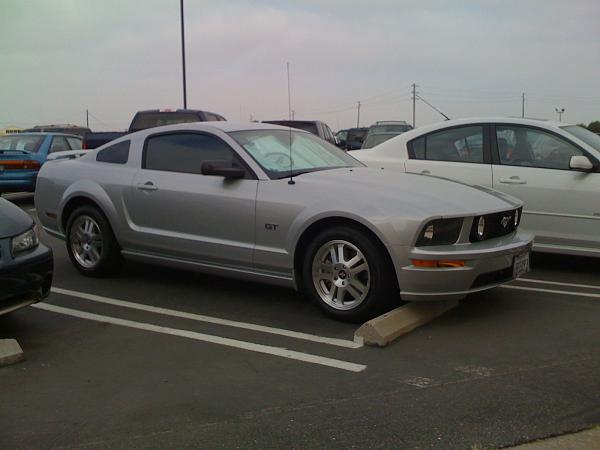 Ponies on The Run!-img_0348.jpg