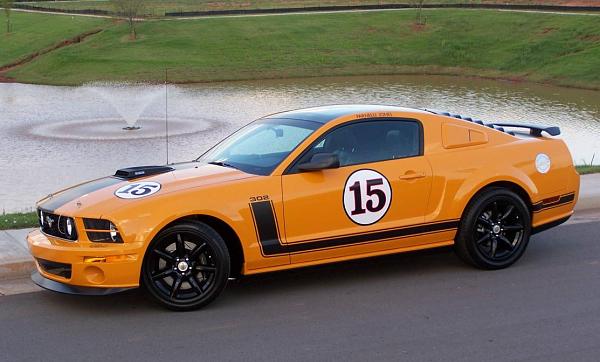 Ponies on The Run!-100_1510.jpg