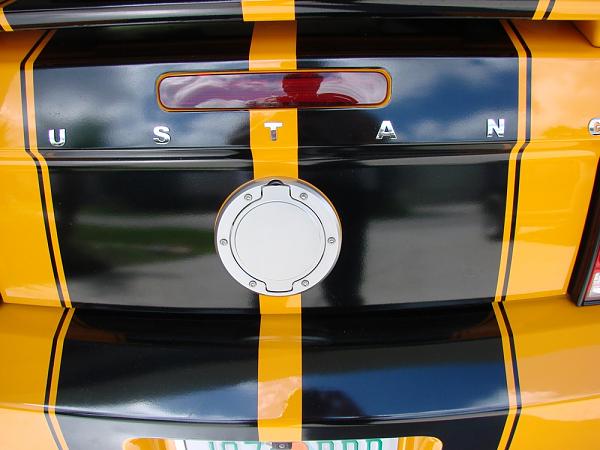 Ponies on The Run!-dsc01199.jpg