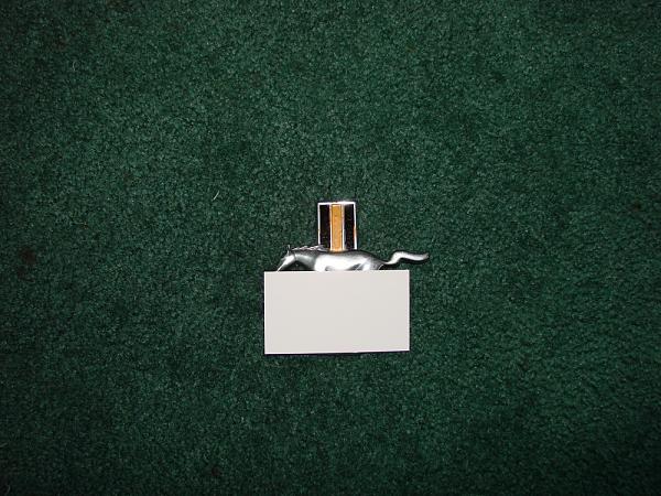 Ponies on The Run!-dsc01192.jpg