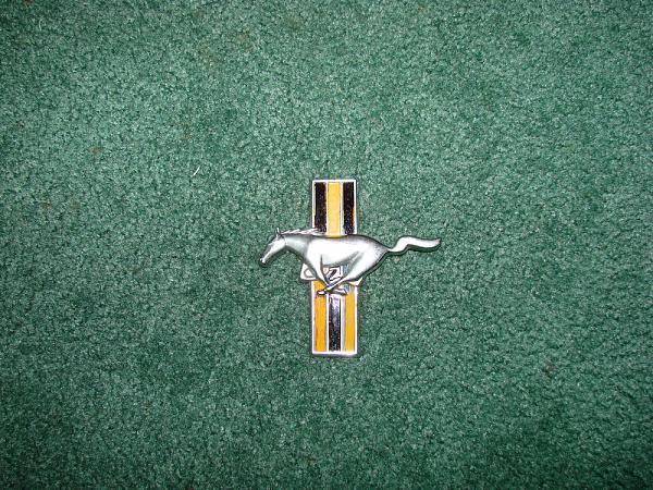 Ponies on The Run!-dsc01190.jpg