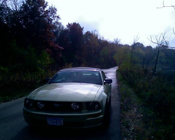 The Daily Driver-102408_12211.jpg