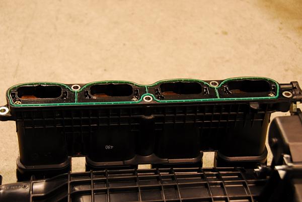 Ponies on The Run!-ajm_5752r.jpg