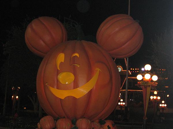 Ponies on The Run!-img_1118.jpg