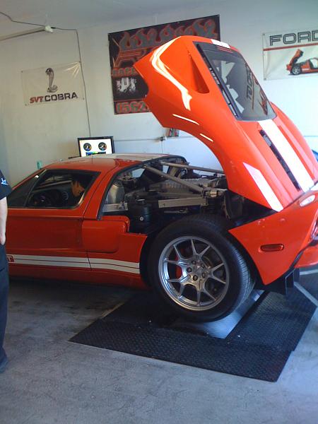 Ponies on The Run!-img_0426.jpg