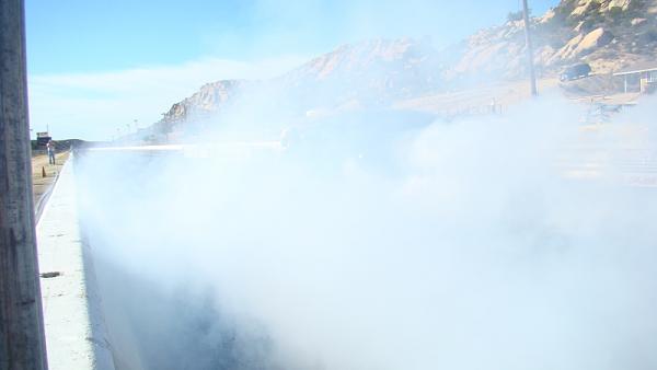 Ponies on The Run!-dsc03783.jpg