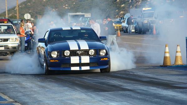 Ponies on The Run!-dsc03817.jpg