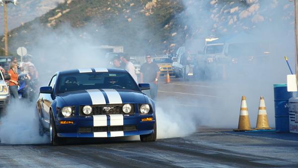 Ponies on The Run!-dsc03819.jpg