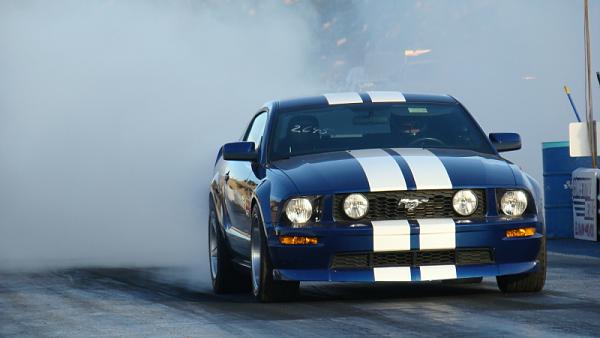 Ponies on The Run!-dsc03821.jpg