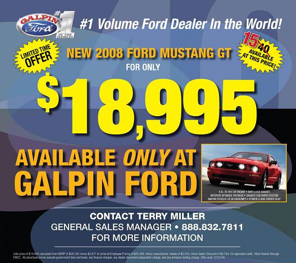 Ponies on The Run!-40mustangsnew.jpg