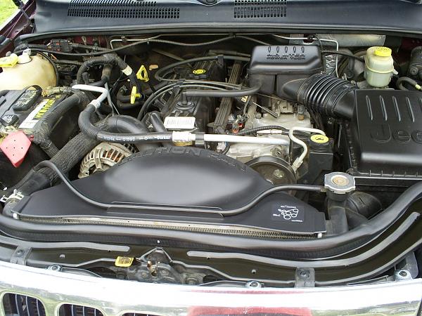 Ponies on The Run!-s5032281.jpg