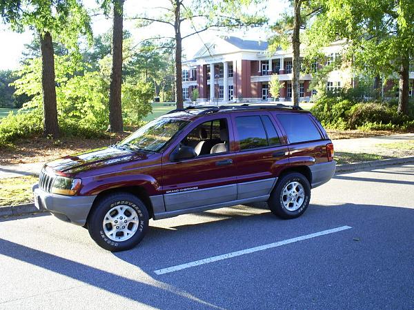 Ponies on The Run!-s5032353.jpg