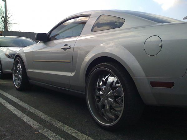 Ponies on The Run!-img_0458.jpg