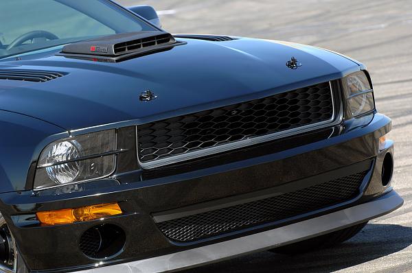 Ponies on The Run!-saleendarkhorse_11.jpg