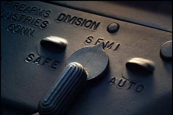 Ponies on The Run!-user0755.jpg