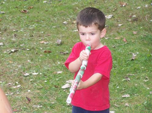 Name:  peashooter.JPG
Views: 212
Size:  43.3 KB