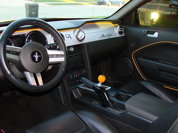 Ponies on The Run!-dsc00984_2.jpg