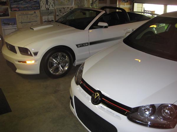 What Mustang(s) Do You Currently Own?-img_0326.jpg