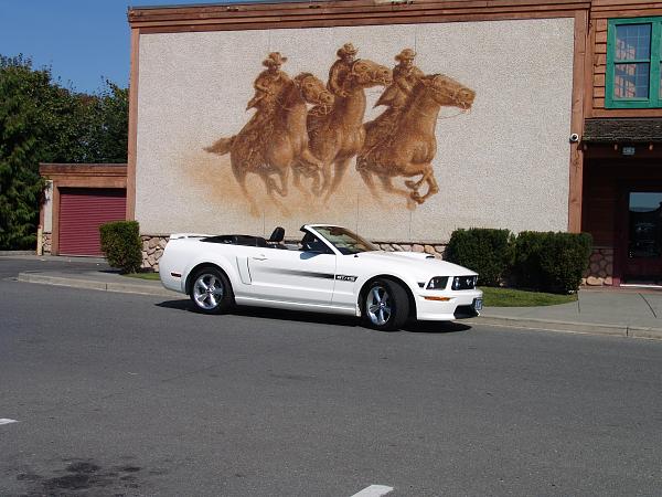 Ponies on The Run!-tech-2-wax-sept-22-09-009.jpg