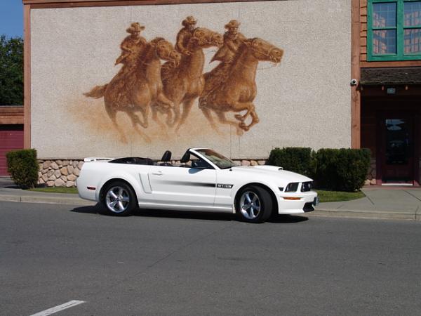 Ponies on The Run!-tech-2-wax-sept-22-09-013.jpg